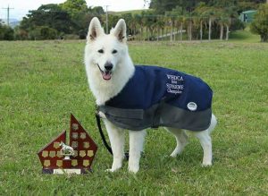 whiteshepherd.org.au